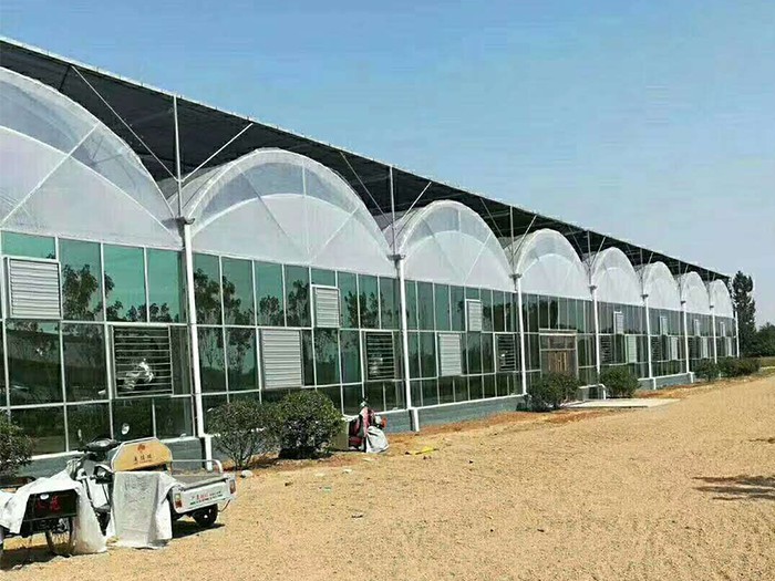 膜棚連棟溫室
